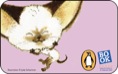 skippycard2.jpg
